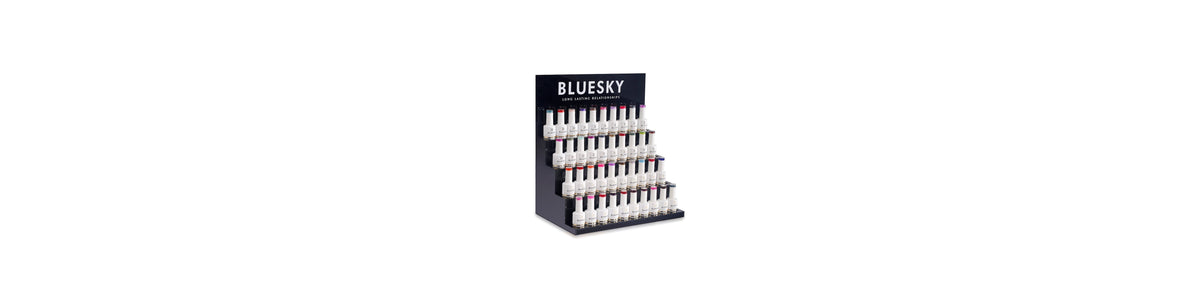 Bluesky Nail Polish Storage Case - Professional Kit Box – Bluesky  Professional