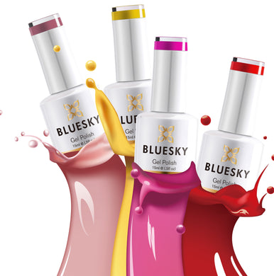 Bluesky Student Starter Kit