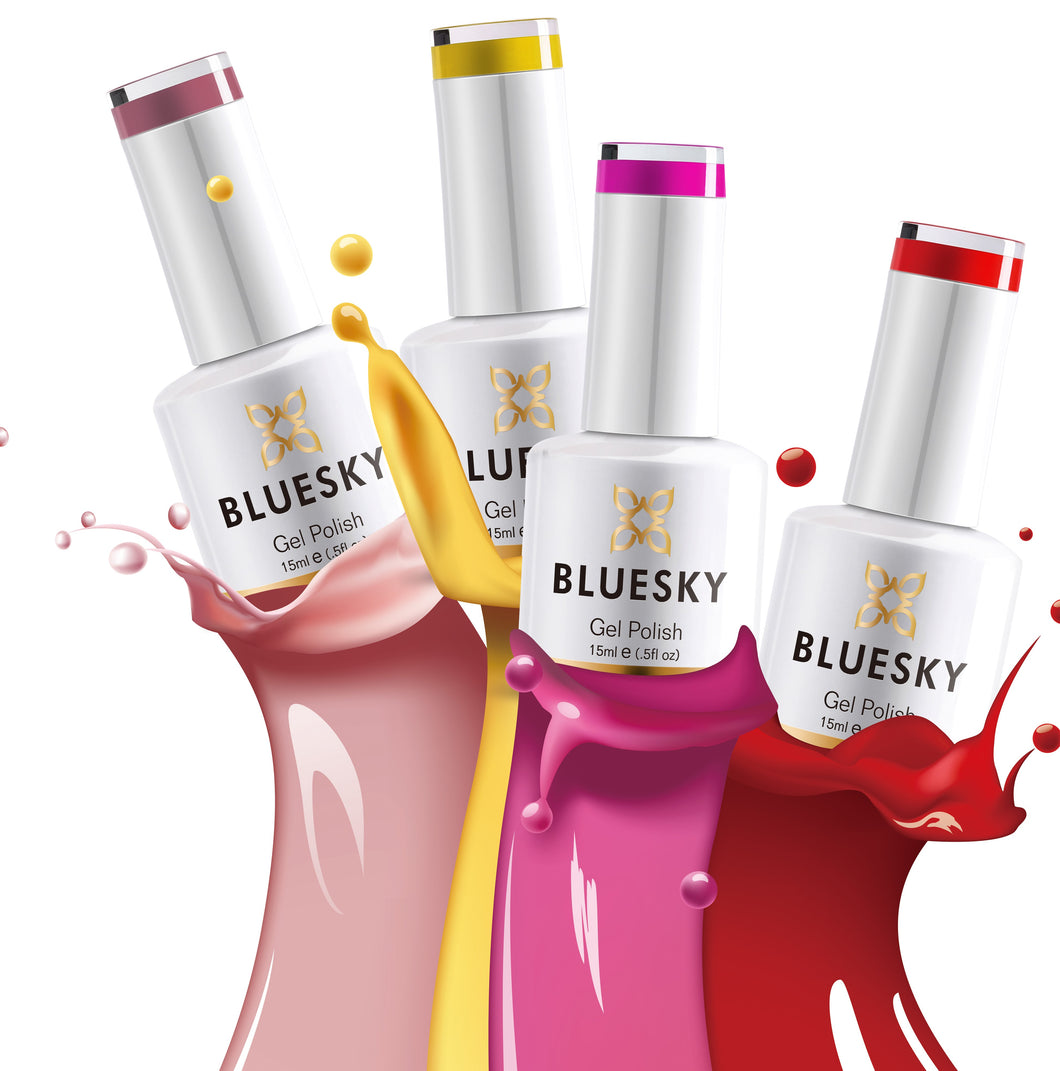 Bluesky Student Starter Kit