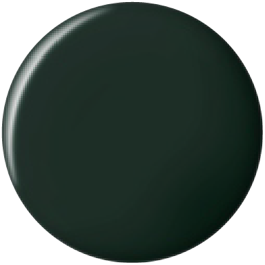 Bluesky Professional BLACKISH GREEN swatch, product code DC073