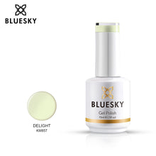Load image into Gallery viewer, Bluesky Professional DELIGHT bottle, product code KM857