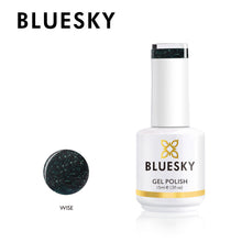 Load image into Gallery viewer, Bluesky Professional, AW19, Gel Nail Polish, Wise, Glitter Gel Polish, FW19